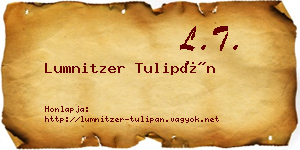 Lumnitzer Tulipán névjegykártya